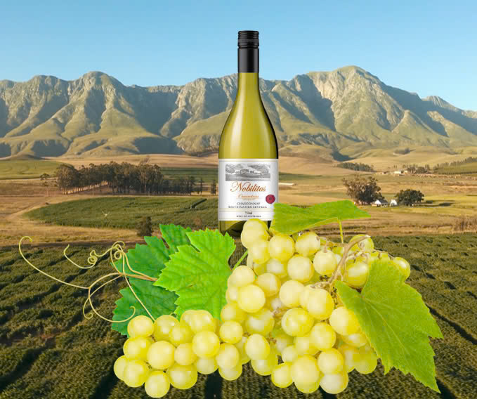 Rượu Vang Chardonnay Úc – Nobilitas Countess 2023