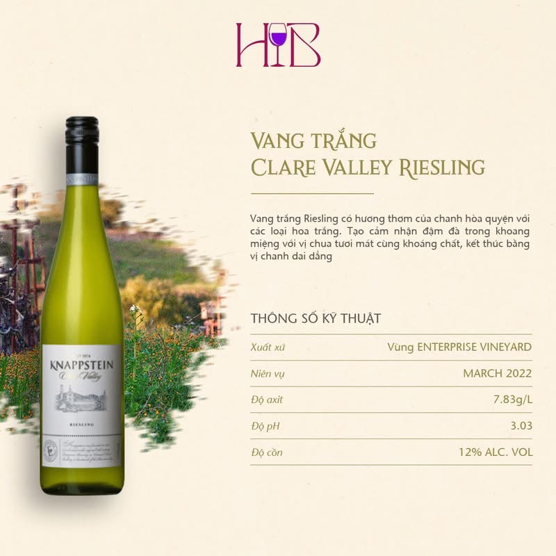 Vang Riesling Úc Knappstein 2023 tươi mát tinh tế