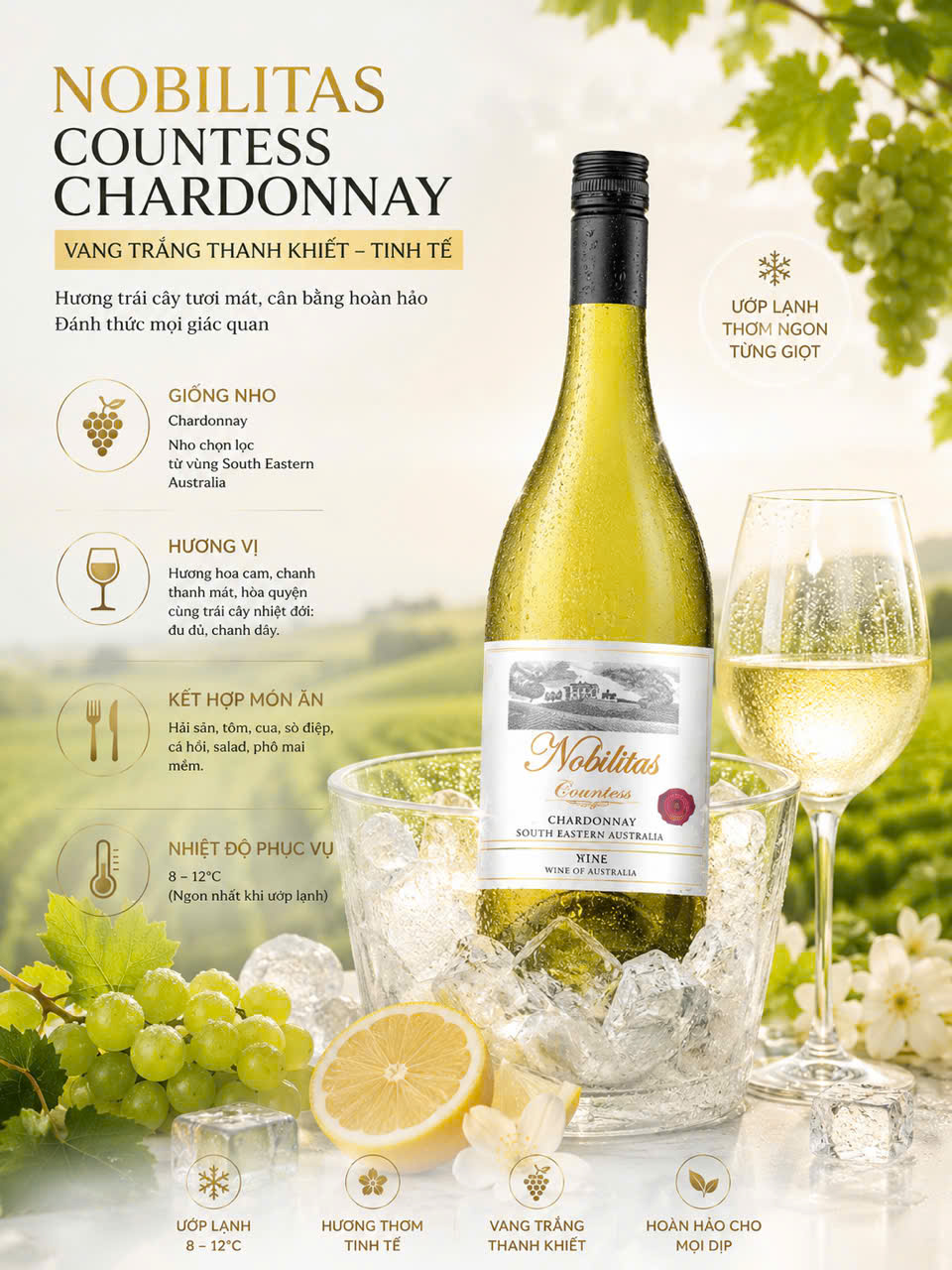 Rượu Vang Trắng Chính Hãng Chardonnay Úc Cao Cấp